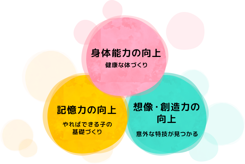 身体能力の向上、記憶力の向上、想像、創造力の向上